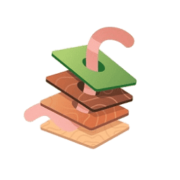 custom_website